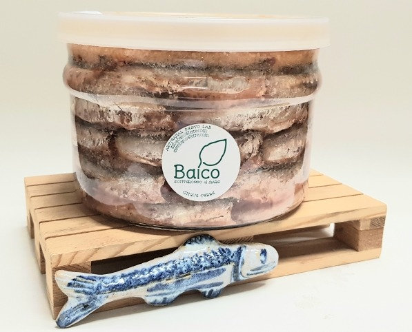 Salt Anchovies