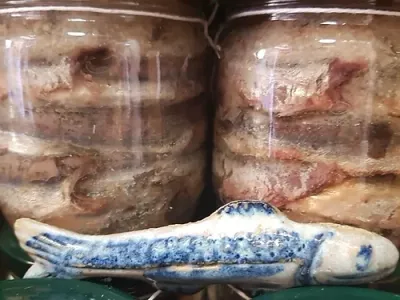 Salt Anchovies Salt Anchovies