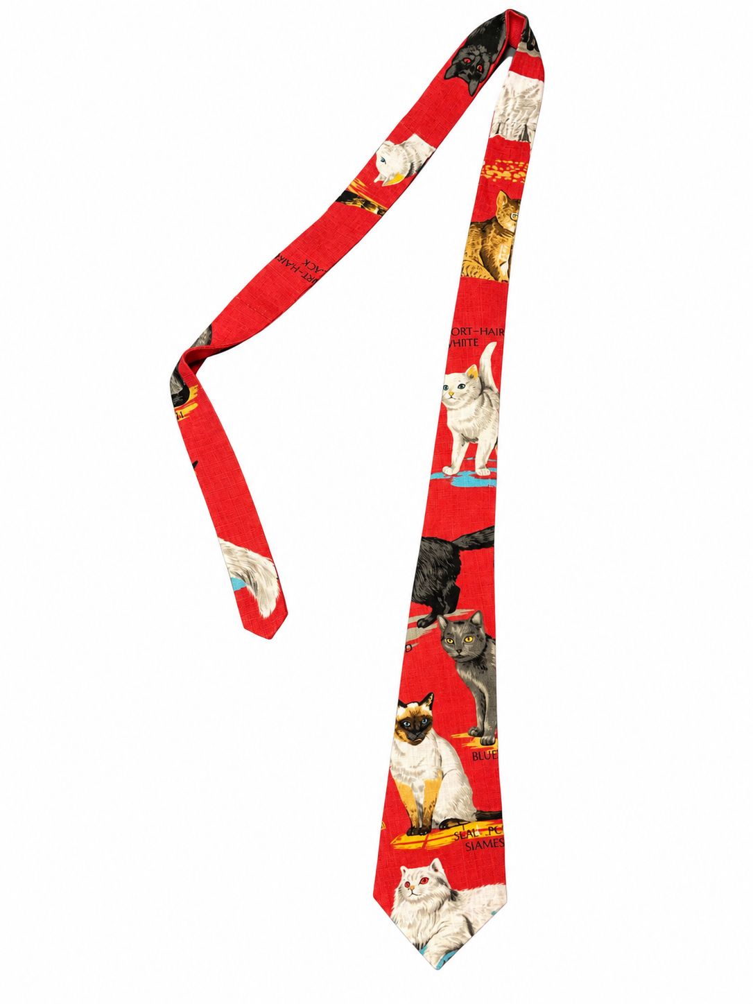 CATS TIE RED 