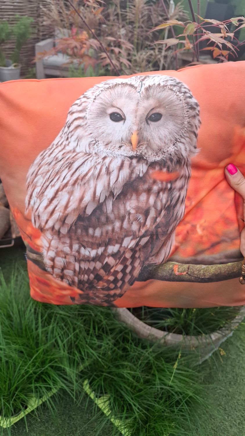 Outdoorkissen Eule