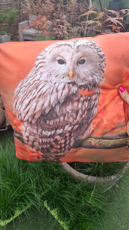 Outdoorkissen Eule