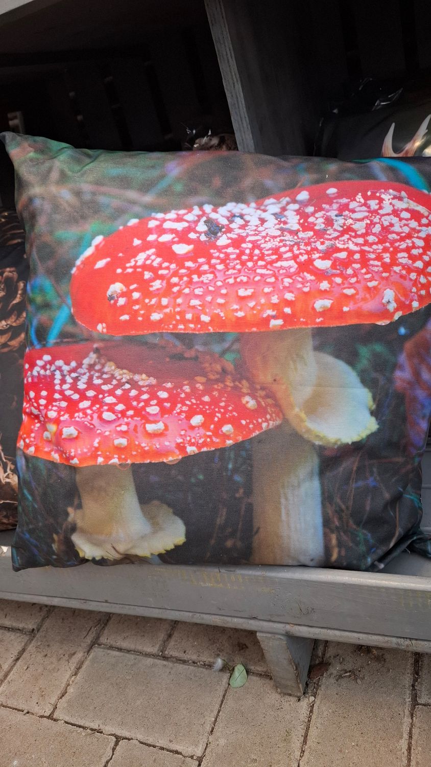 Outdoorkissen Pilz