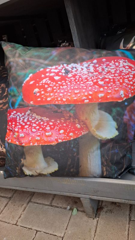 Outdoorkissen Pilz