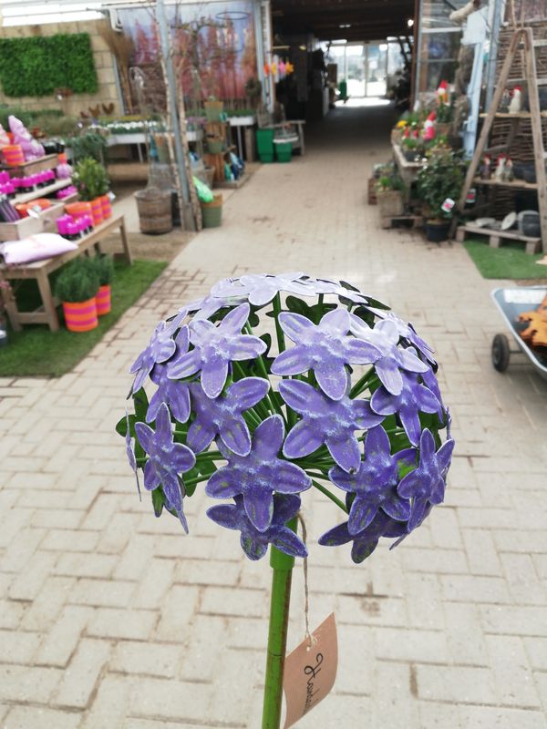Gartenstecker Allium