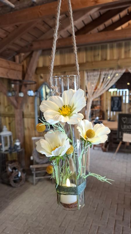 Glas Zylinder 