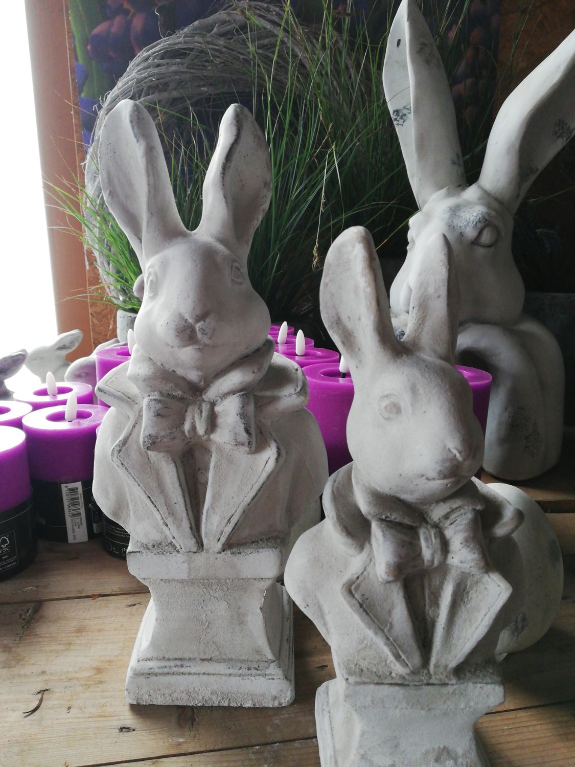 Herr Hase M 'White' Herr Hase M 'White'