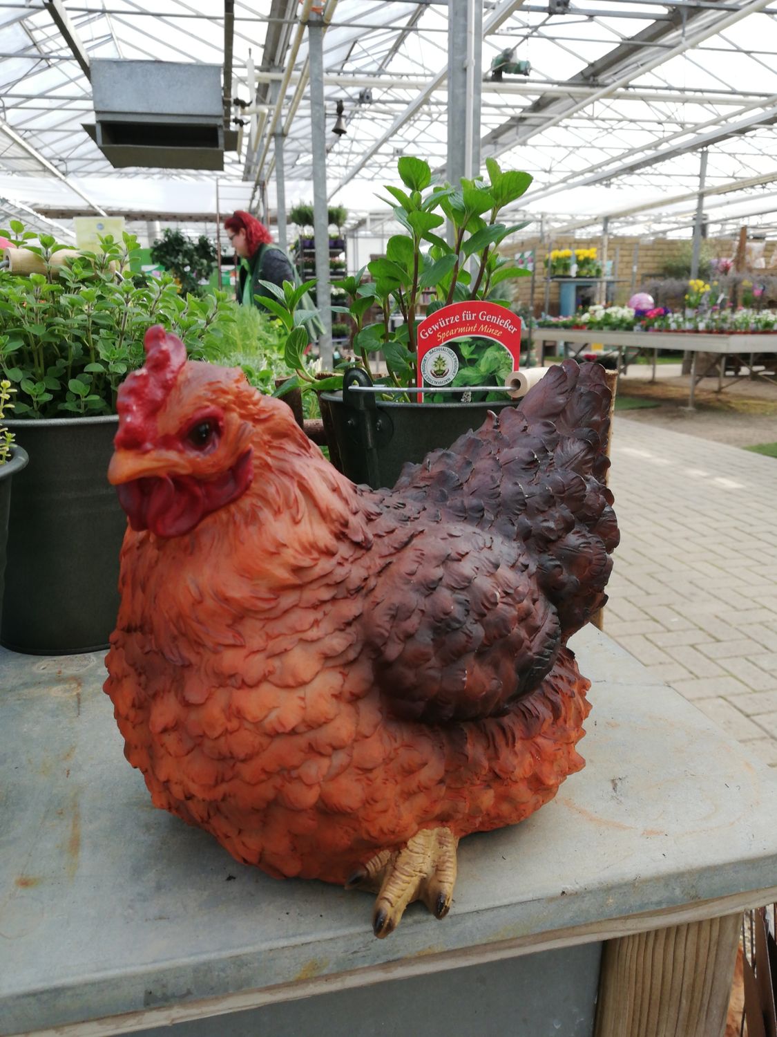 Huhn 'Bertha' Huhn 'Bertha'