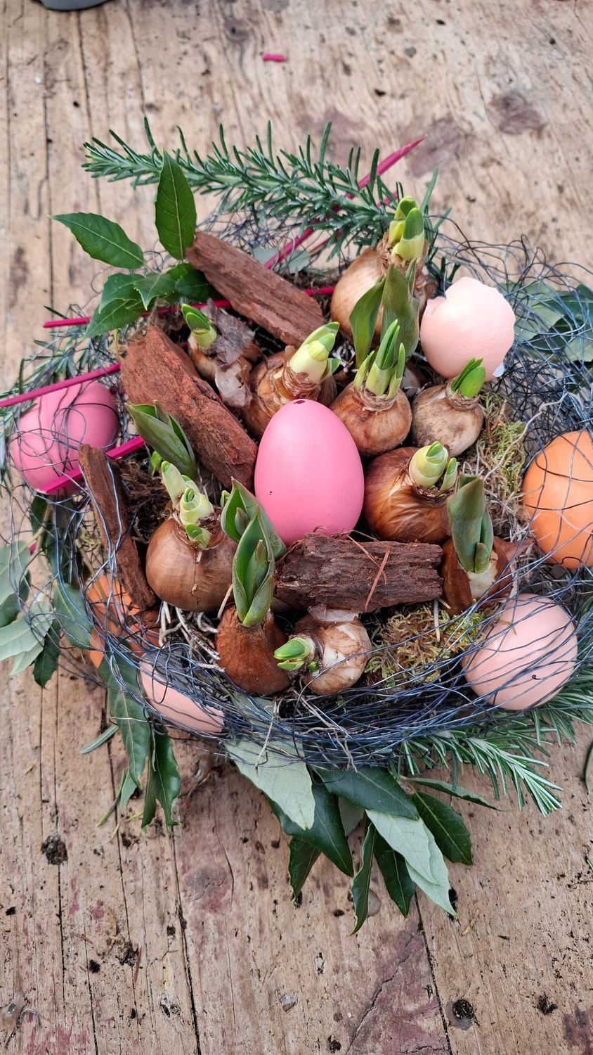 Frühlingsnest Diy Paket 