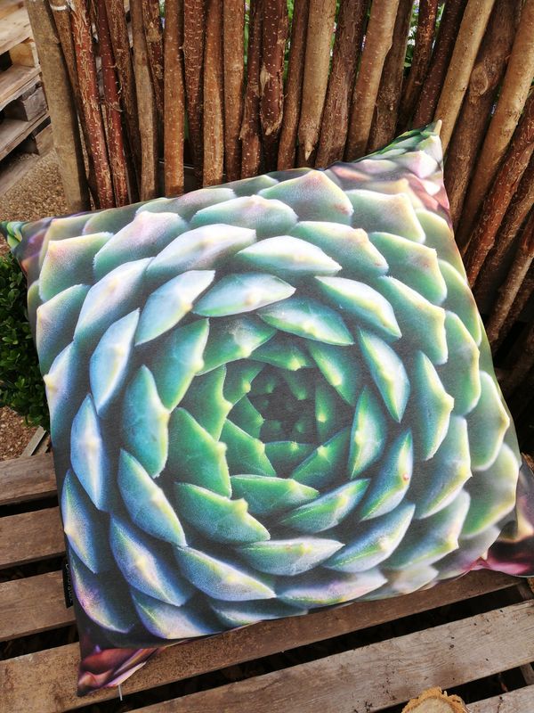 Outdoorkissen 'hauswurz'