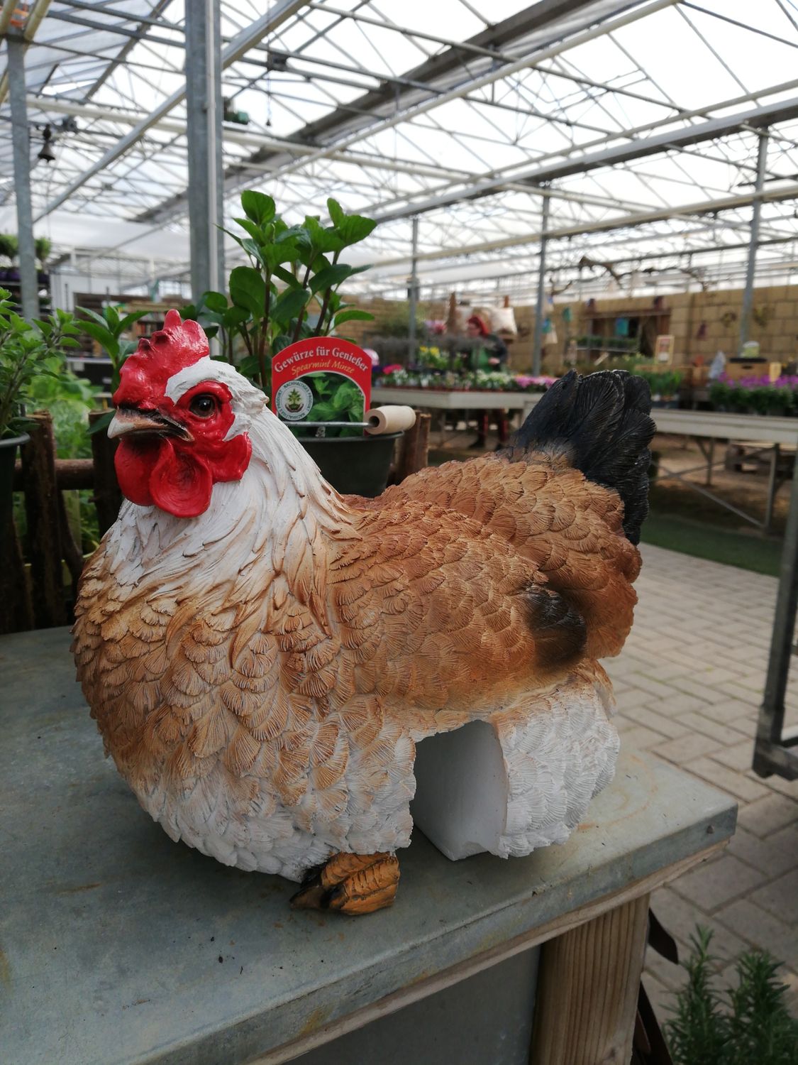 Huhn 'Tilda' Huhn 'Tilda'