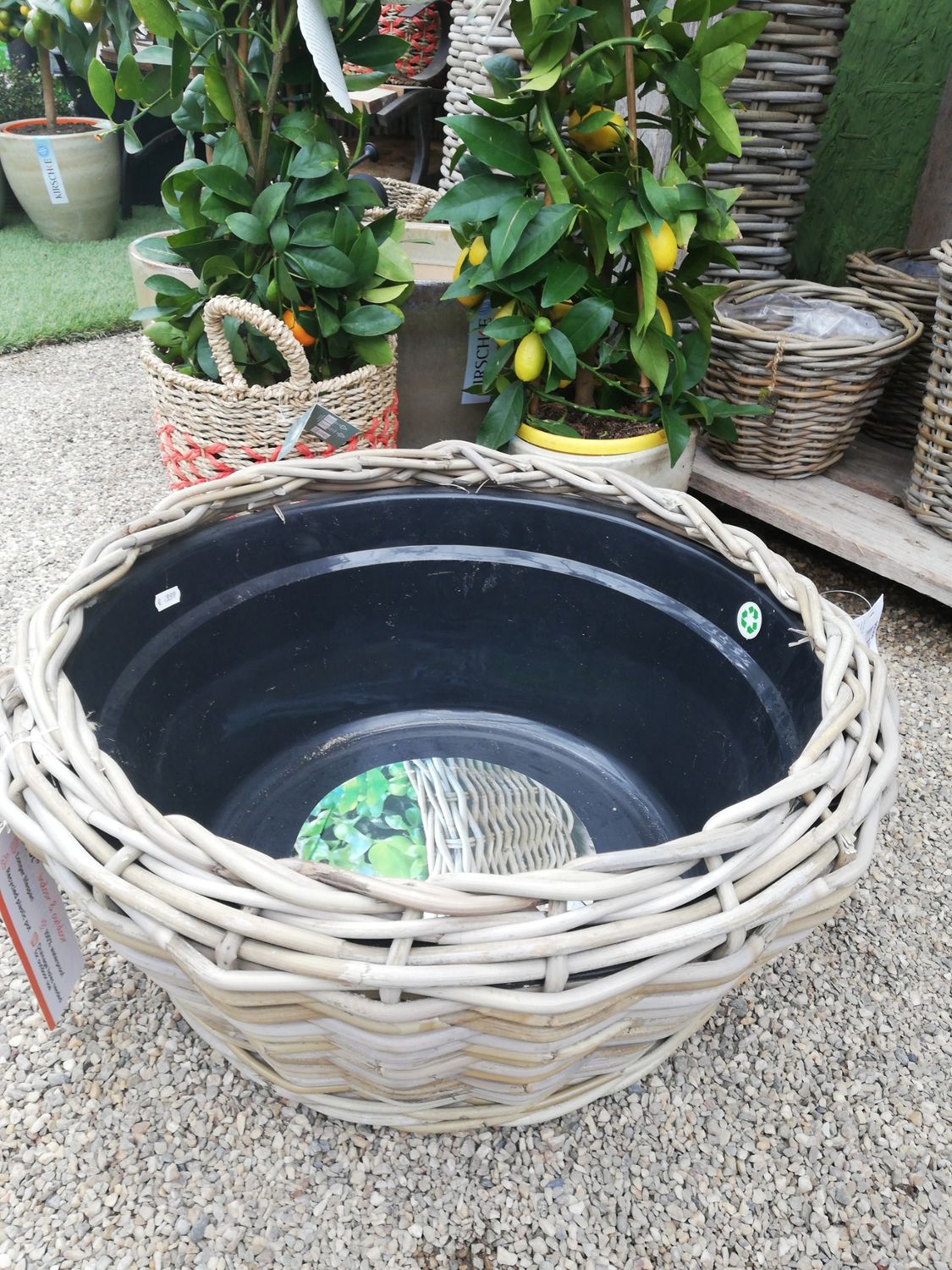 Dry pot 'black' 53 x 53