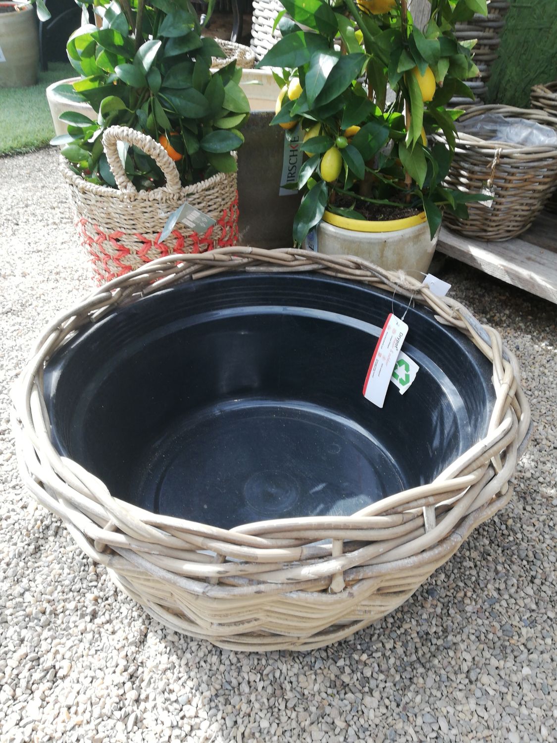 Dry pot 'black' 48 x 48
