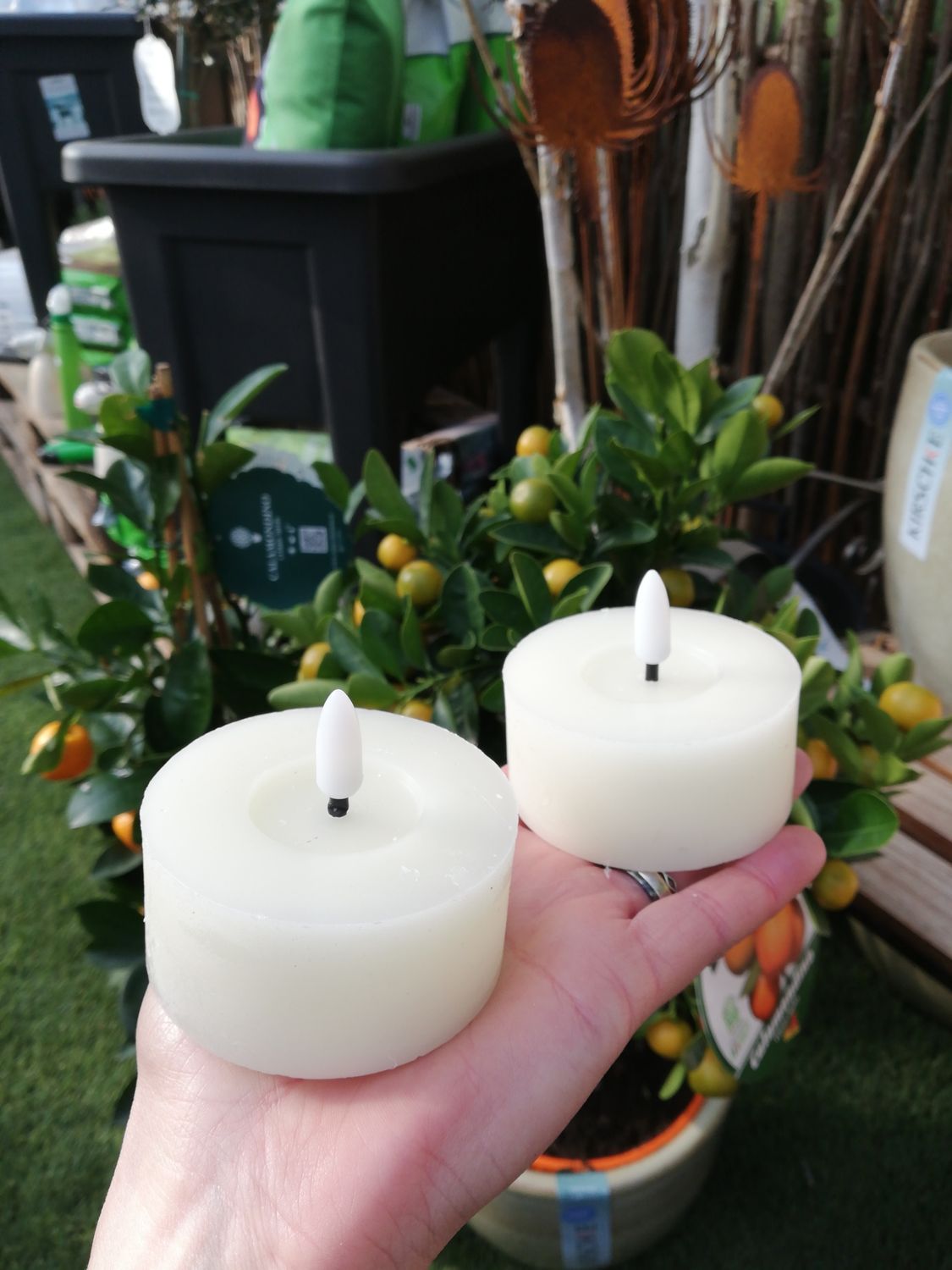 XL LED Teelichte 2er