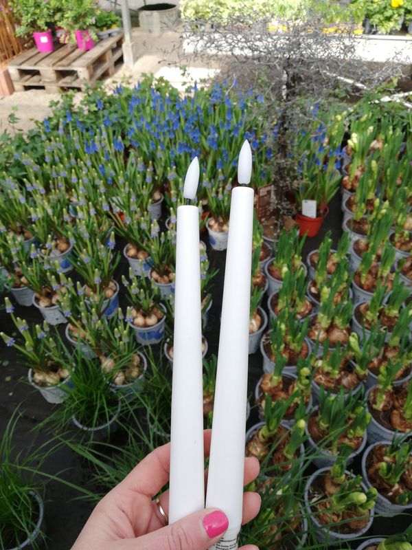 Outdoor LED Stabkerze 'white'