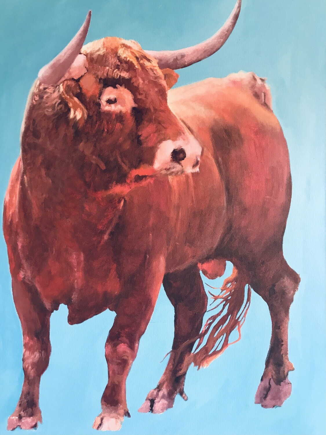 Stier Blau  auf Leinwand