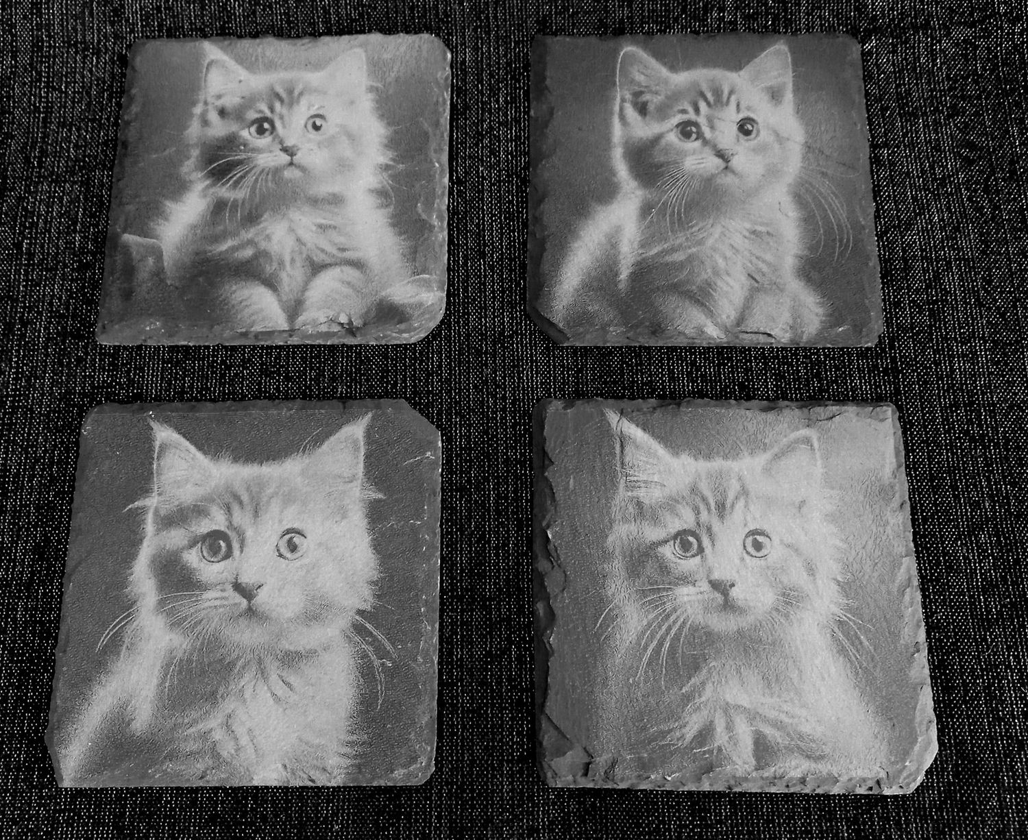 Schieferuntersetzer , 4er Set Katzen