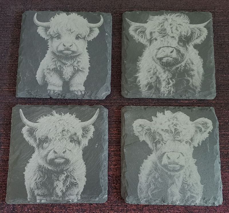 Schieferuntersetzer , 4er Set Highland Kälbchen