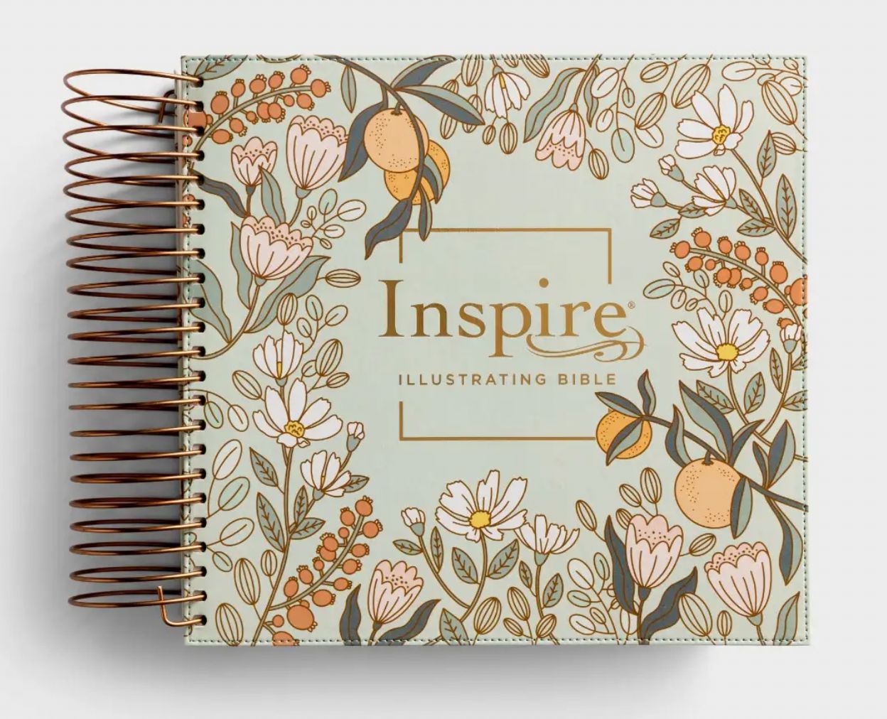 Inspire Illustration Bible
