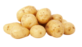 Potatoes Baby
