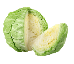 Cabbage White