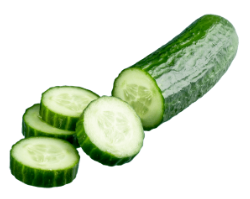 Cucumber