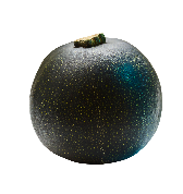 Gem Squash