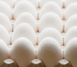 White Eggs