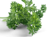 Parsley