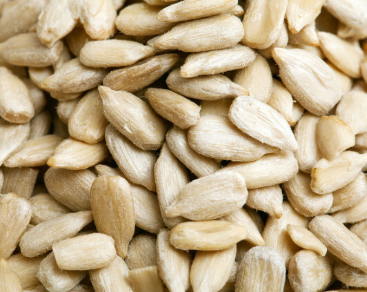 Sunflower Seeds
