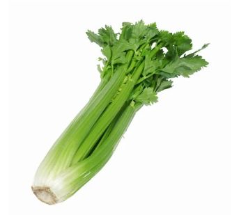 Celery