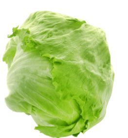 Lettuce (not checked)