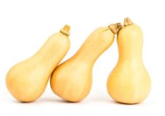 Butternut