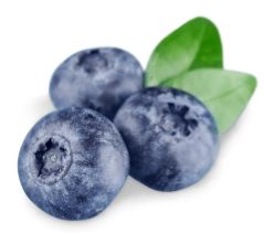 Blueberries