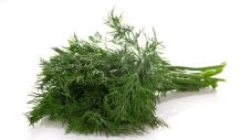 Dill