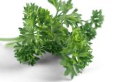 Parsley