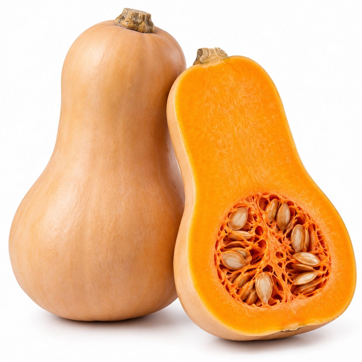 Butternut