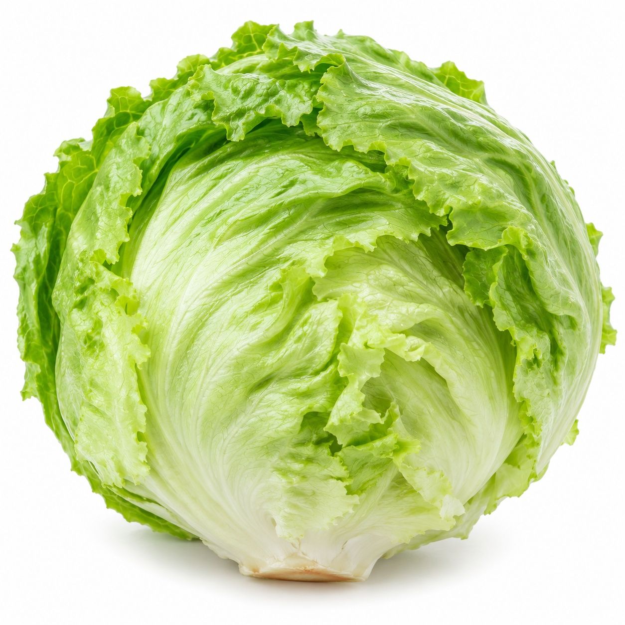 Lettuce (not checked)