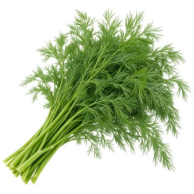 Dill