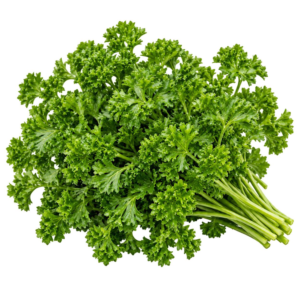 Parsley