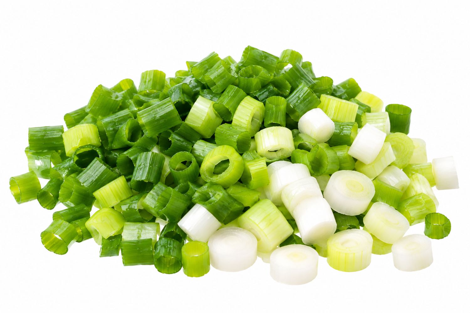 Spring Onion Checked