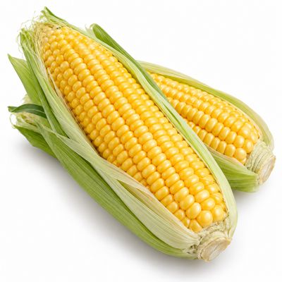 Corn