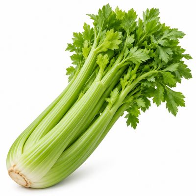 Celery