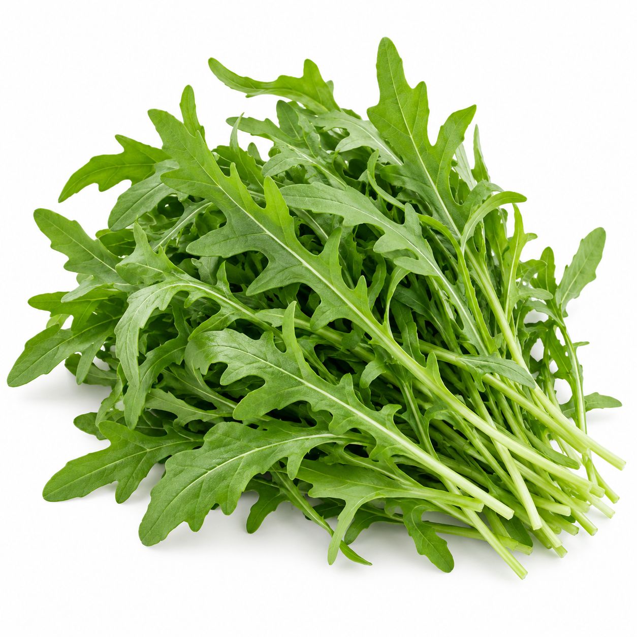 Rocket 
