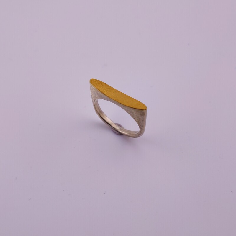 Ellipsenring