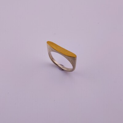 Ellipsenring