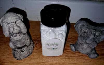 Carpet Freshener
