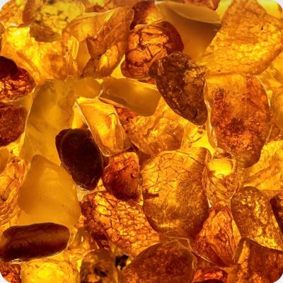 Egyptian Amber pack of 4 Melts