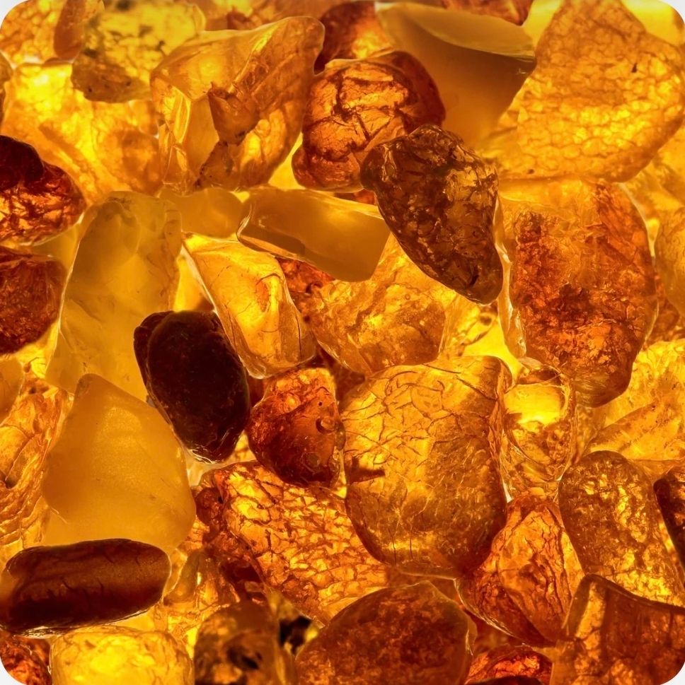 Egyptian Amber Snap Bar 