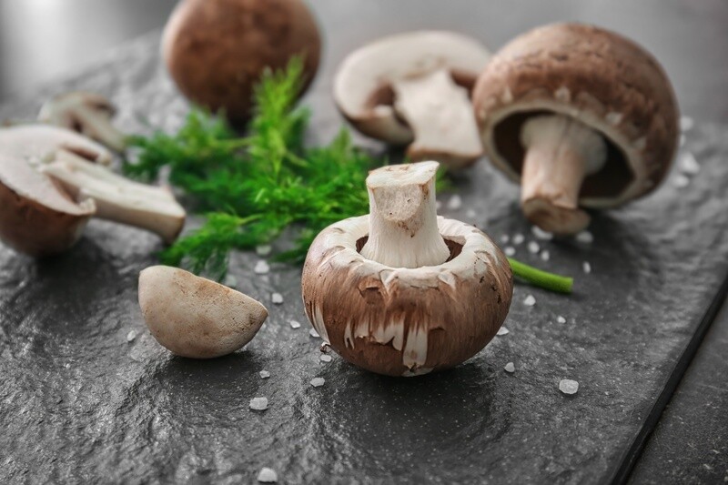 Mushroom