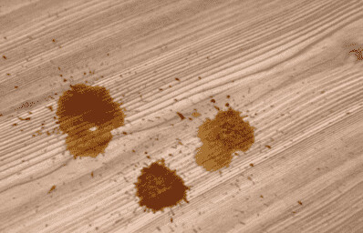Decapant Parquet
